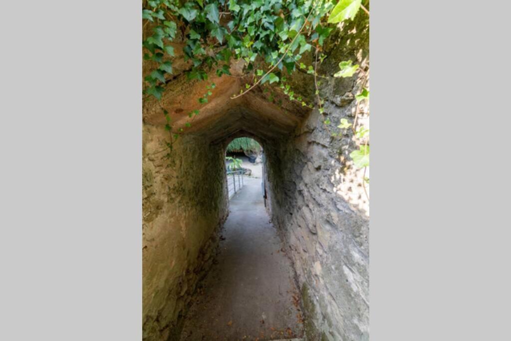 Maison Troglodytique Doue La Fontaine المظهر الخارجي الصورة